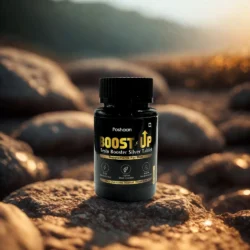 Testo Booster Silver Tablet